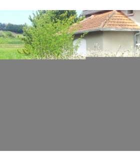 HAIE COTONEASTER FRANCHETII  Kit de 10 mètres