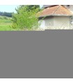 Haie Cotoneaster Franchetii  Kit 10 M