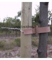 COLLIER TOLTEX
