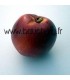 Brugnon jaune Nectared 6