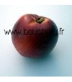 Brugnon Jaune Nectared 6
