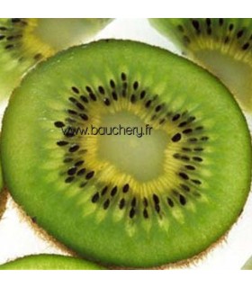 Kiwi mâle