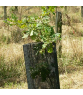 Manchon Nortène CLIMATIC AGRO