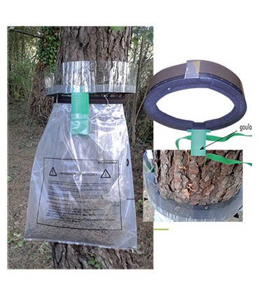 Écopiège chenille PROCEREX ® Ø D35