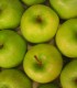 Pommier Granny Smith