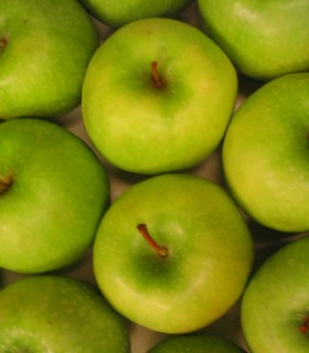 Pommier Granny Smith