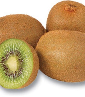 Actinidia - Kiwi Femelle