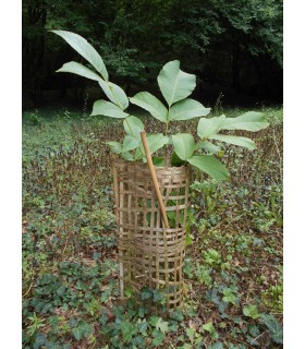 ECO PROTECT PLANT