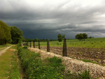 La haie champêtre