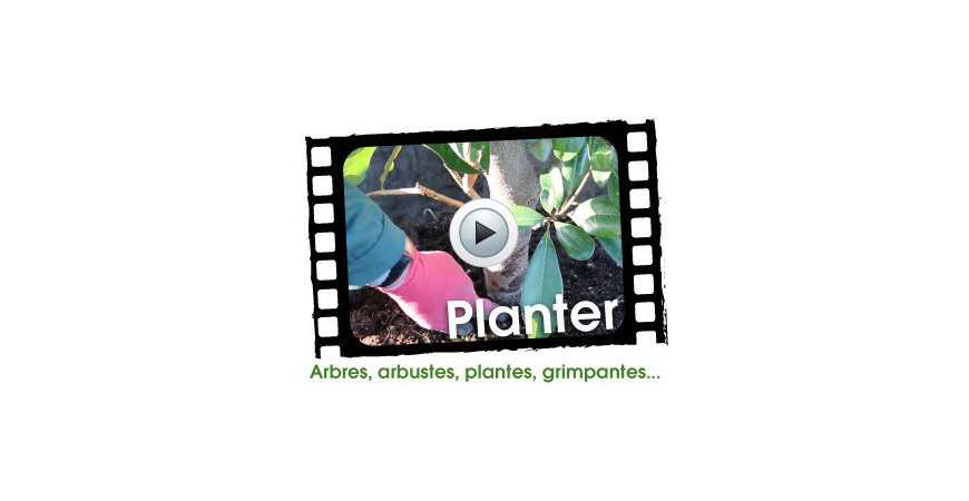 Planter