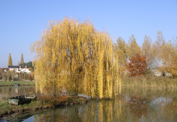Jardiner en octobre