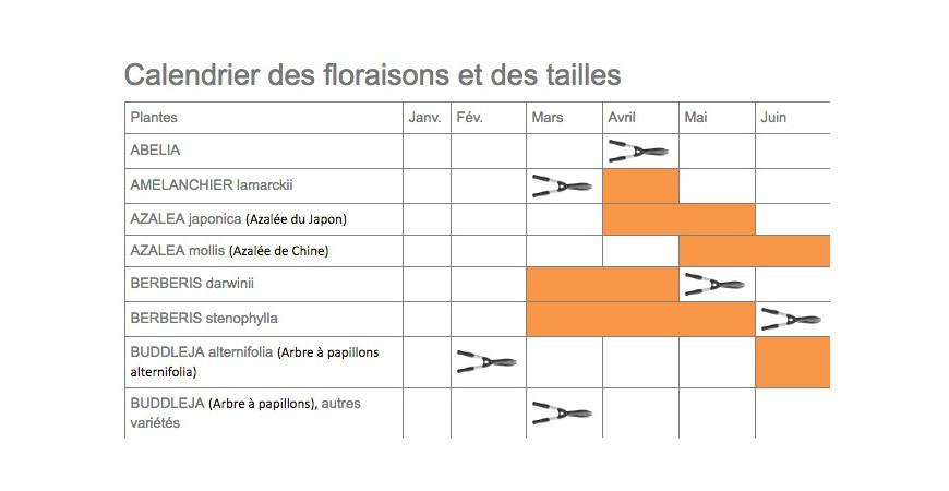 Calendrier de floraison et de taille