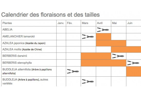 Calendrier de floraison et de taille