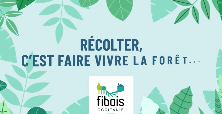 Récolter, c'est faire vivre la forêt