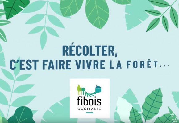 Récolter, c'est faire vivre la forêt